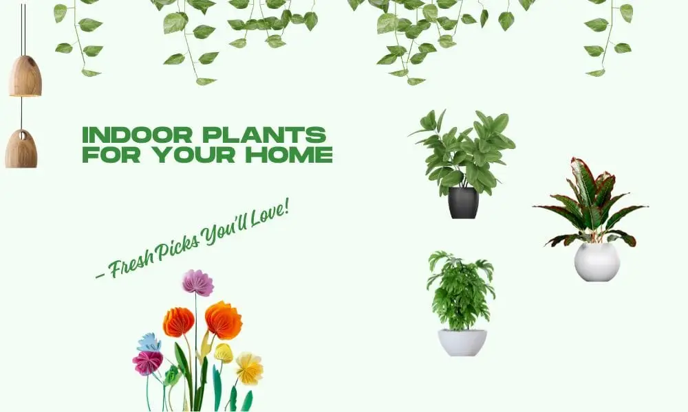 Indoor Plants for home Fresh Picks you will love - PlantySpot