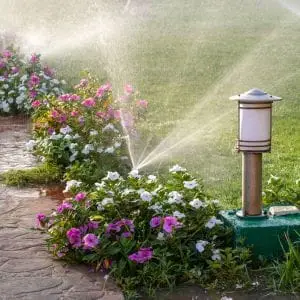 Irrigation & Drainage - PlantySpot