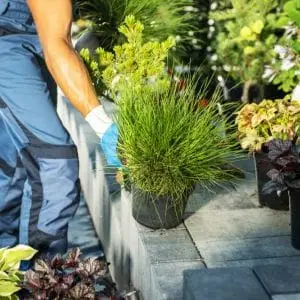 Garden maintenance - PlantySpot